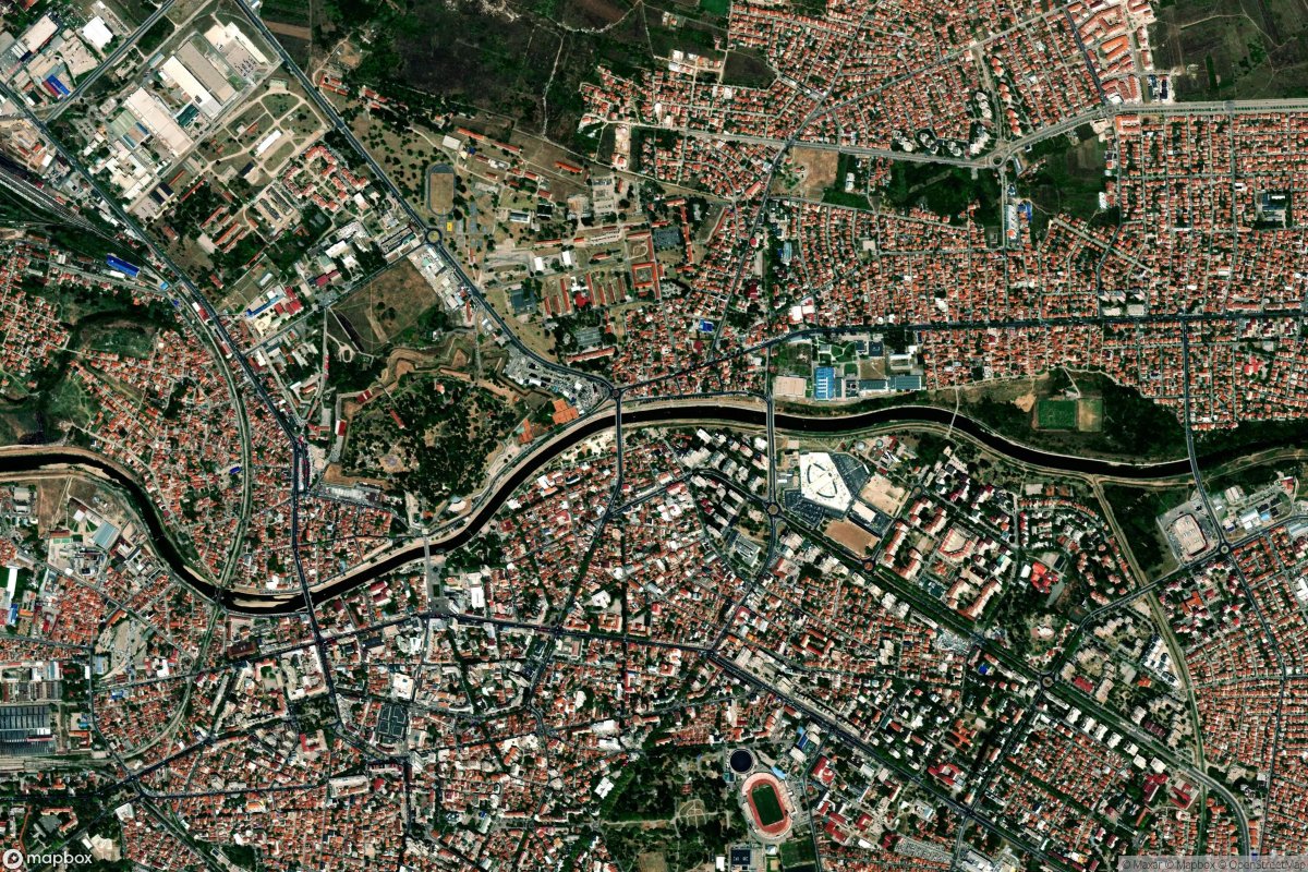 Palilula